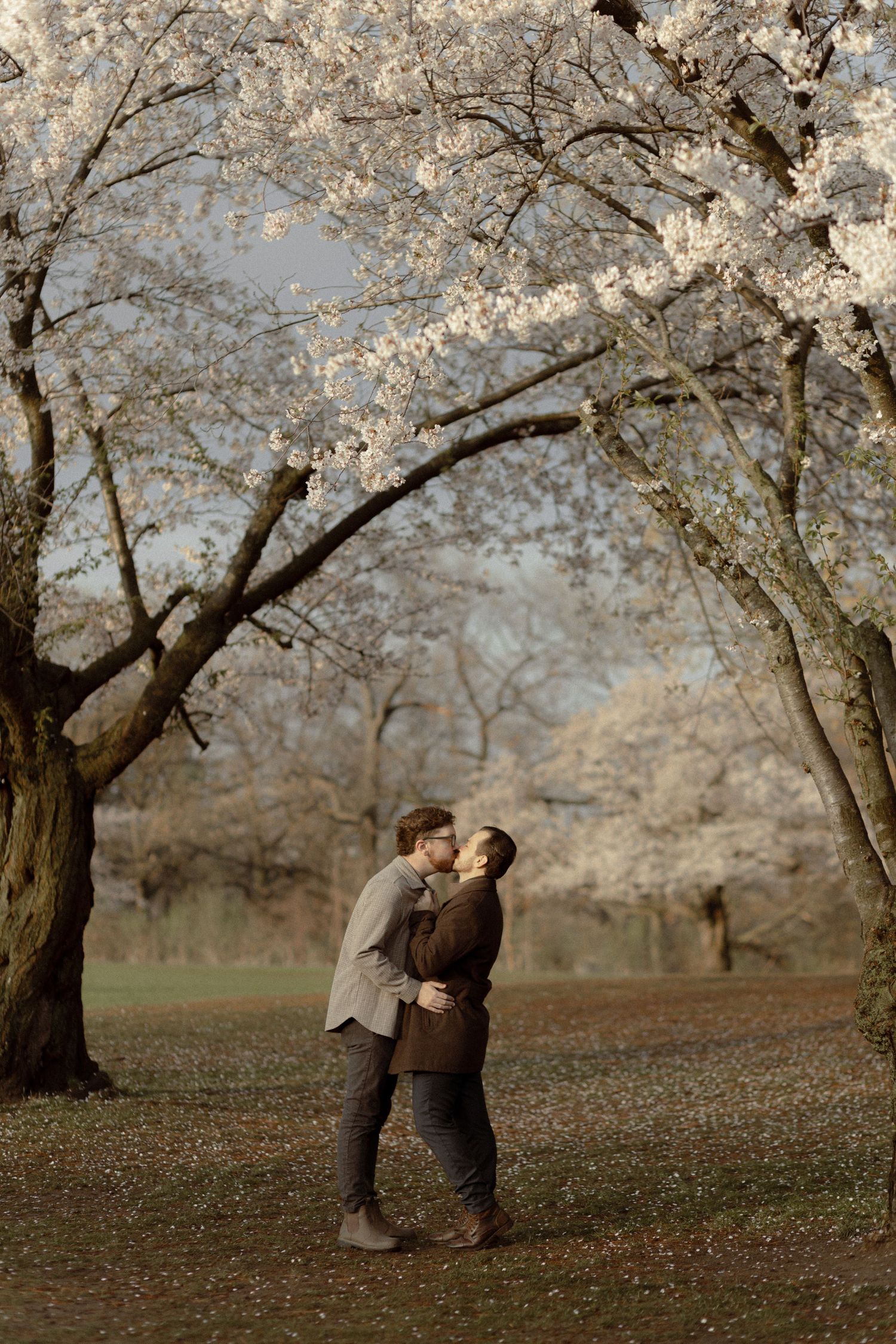 Gay couple engagement session at High Park with cherry blossoms in full bloom behind them