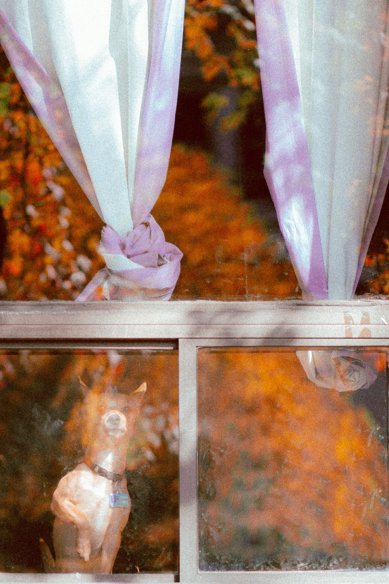 Asian couple wedding shoot at Kensington Market and Scarborough Bluffs with emotional sunset vow reading, candid, romantic, Toronto-based