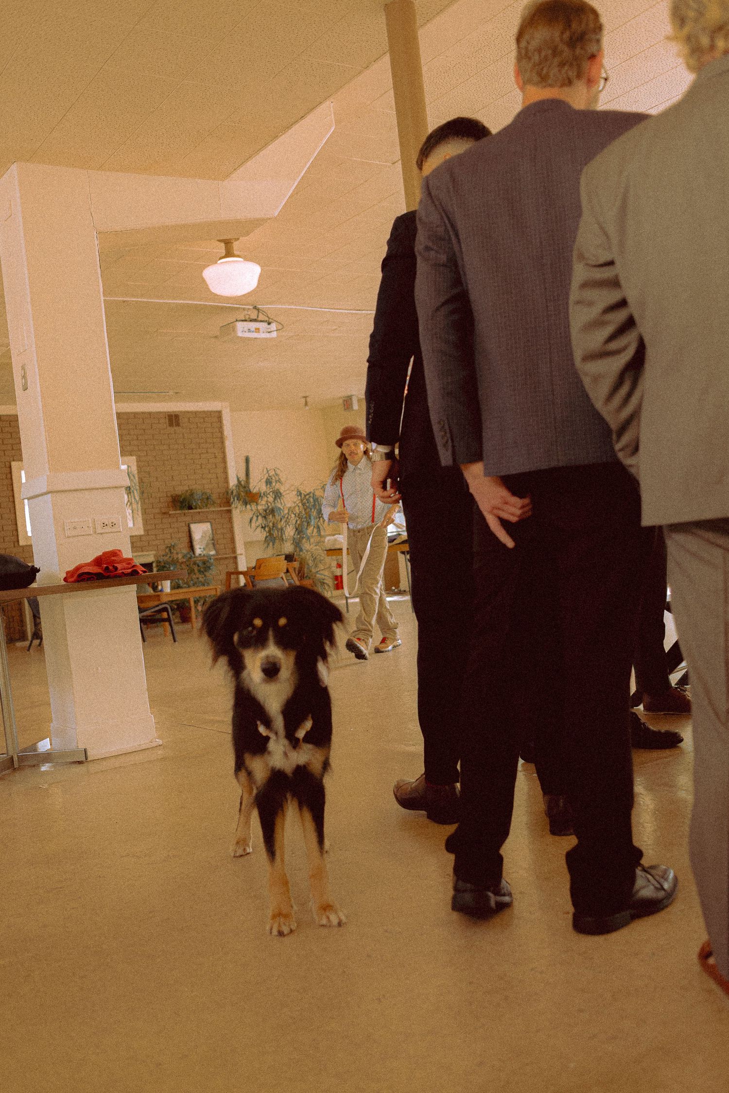 bride and groom's dog on Toronto Island