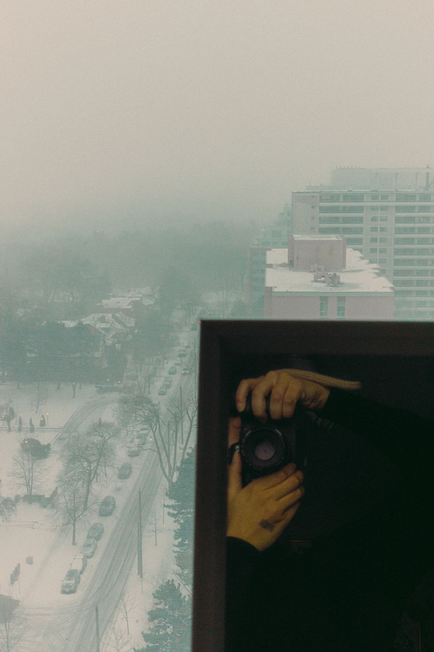 Portrait of Jaqueline Silva, a Brazilian-Canadian Toronto-based intimate wedding and portrait photographer and visual artist.