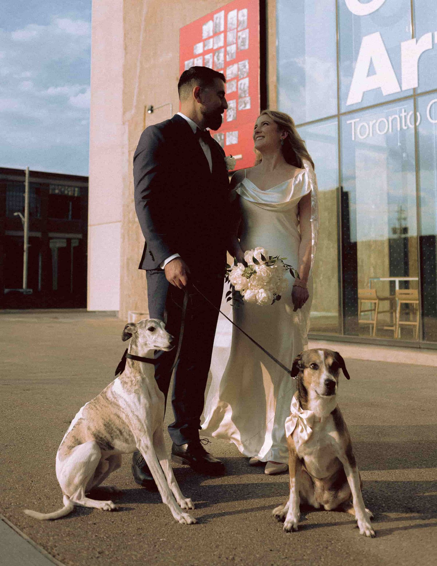 Newlyweds posing with their dogs during wedding portraits.