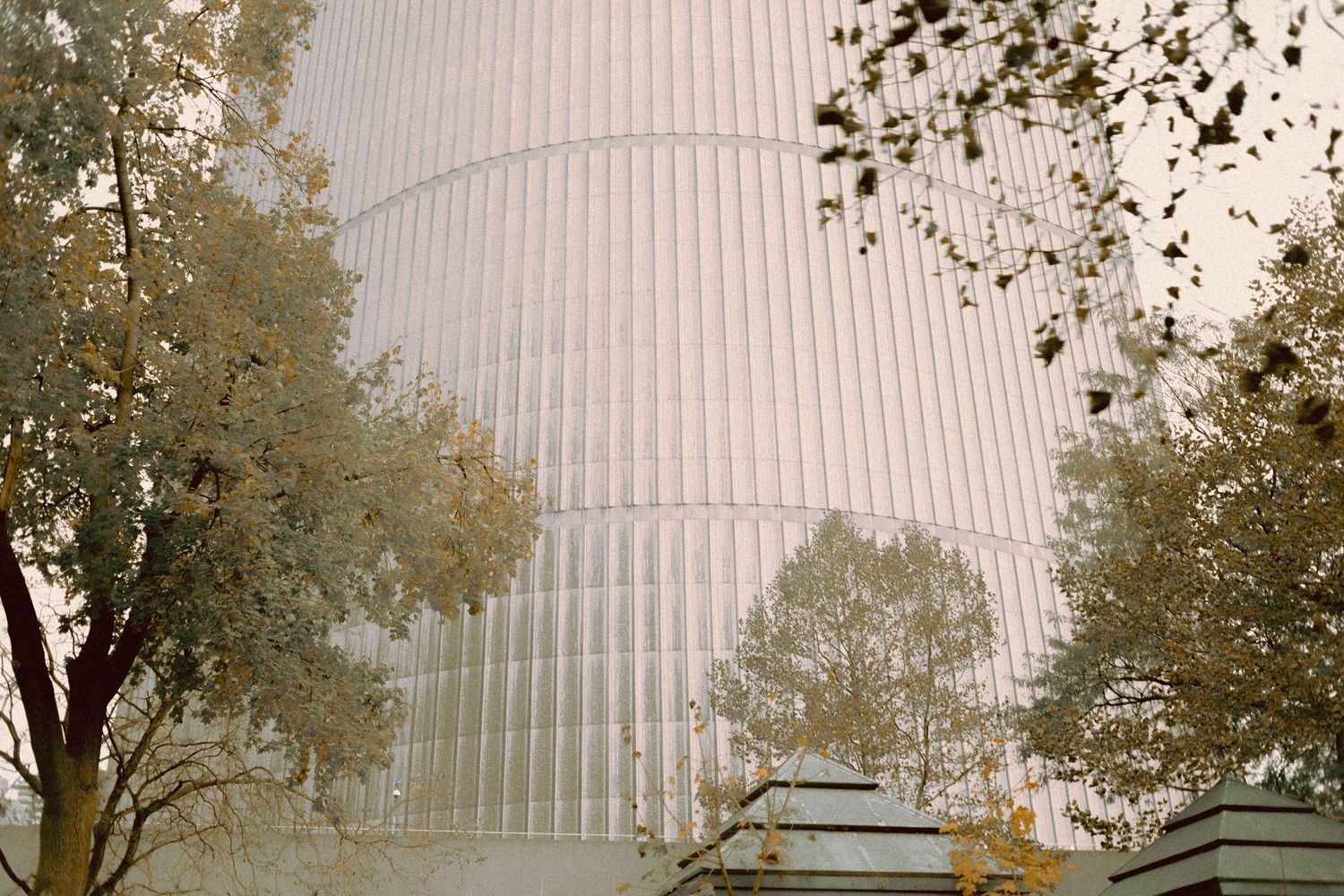 intimate wedding ceremony at Toronto City Hall during fall