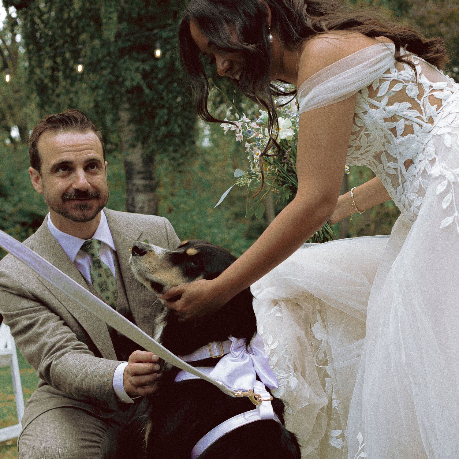 bride and groom with their dog on Toronto Island