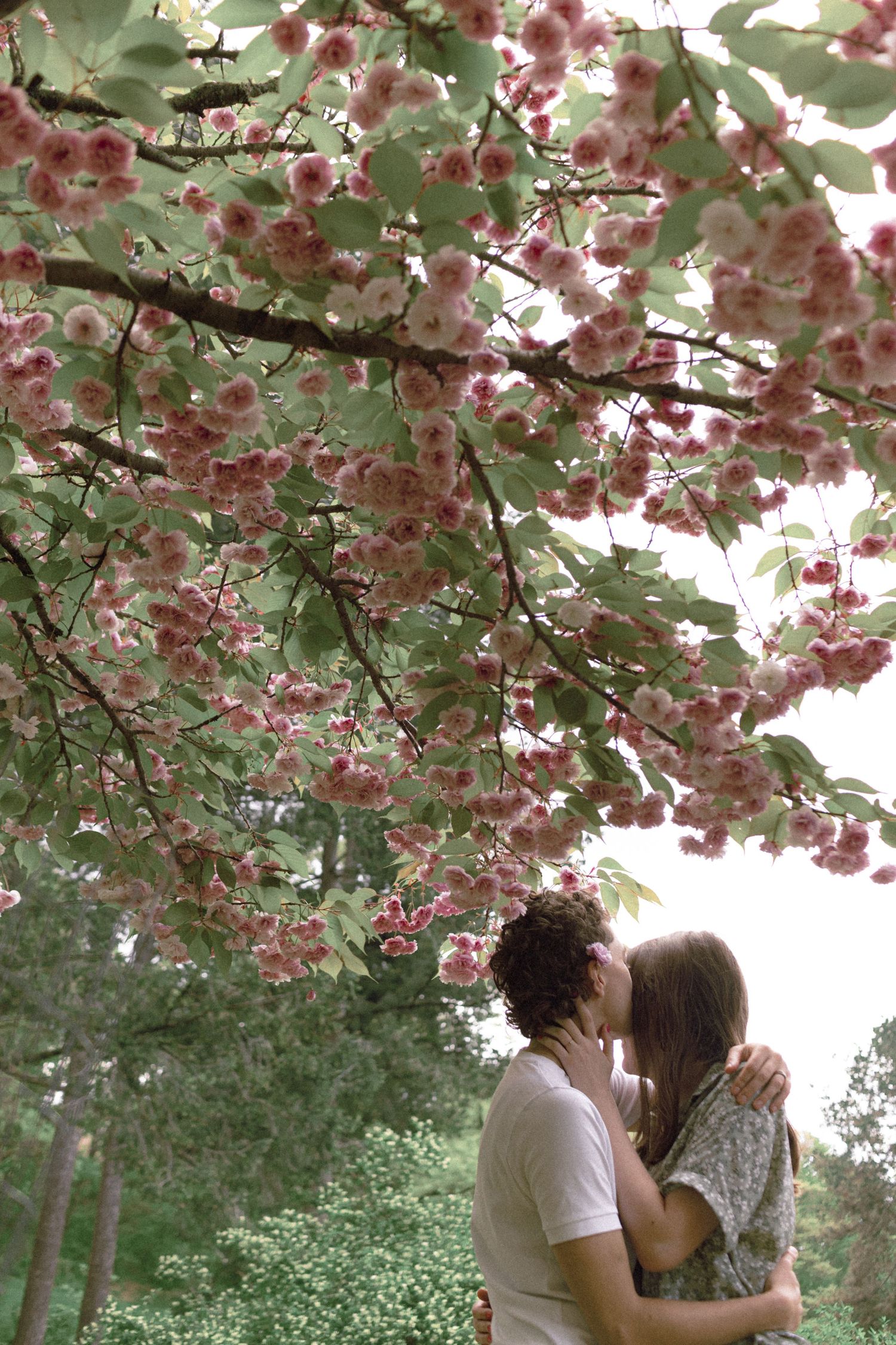 Lesbian American Couple’s Engagement Photoshoot at High Park in Toronto during Cherry Blossom