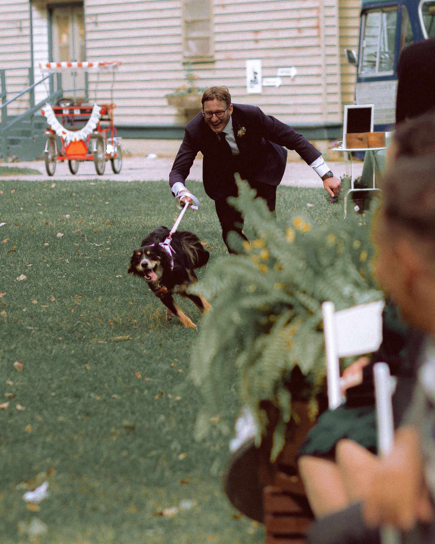 dog as ring bearer in a wedding on Toronto Island