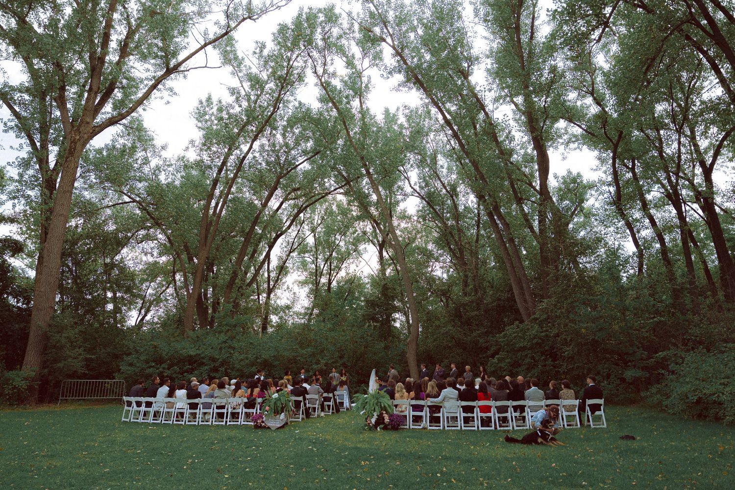 outdoor ceremony setup on Toronto Island