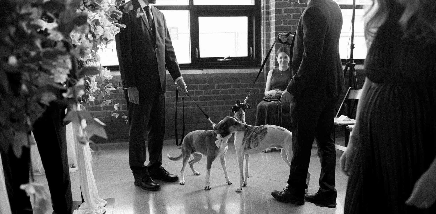 Dog sitting beside guests during an intimate wedding ceremony.