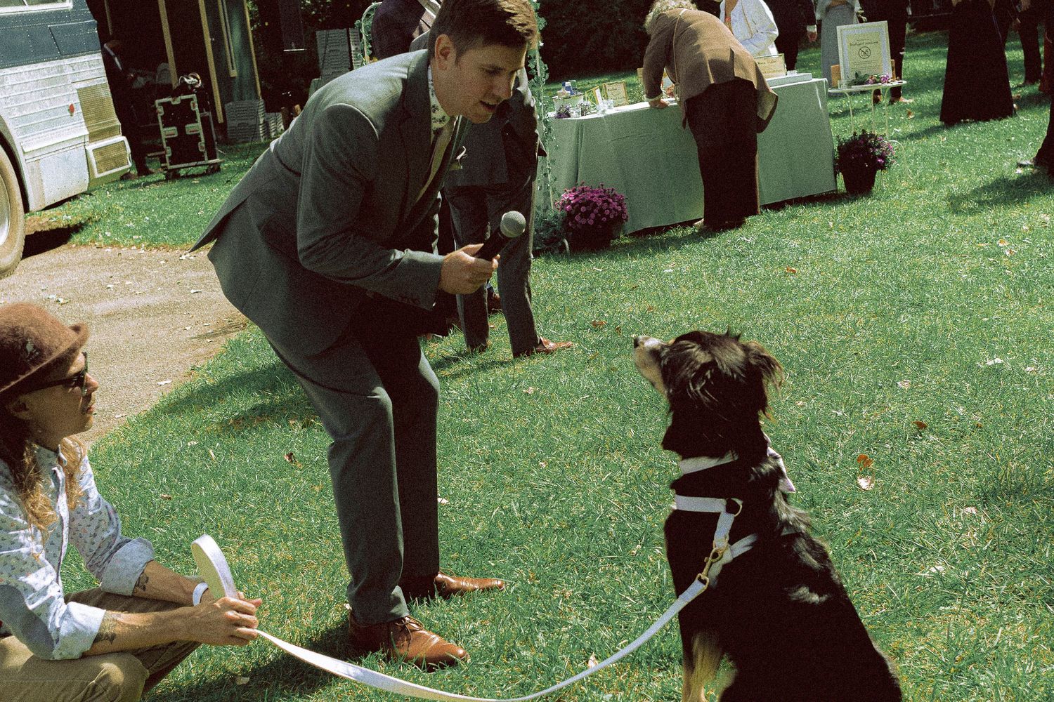 dog as ring bearer in a wedding on Toronto Island