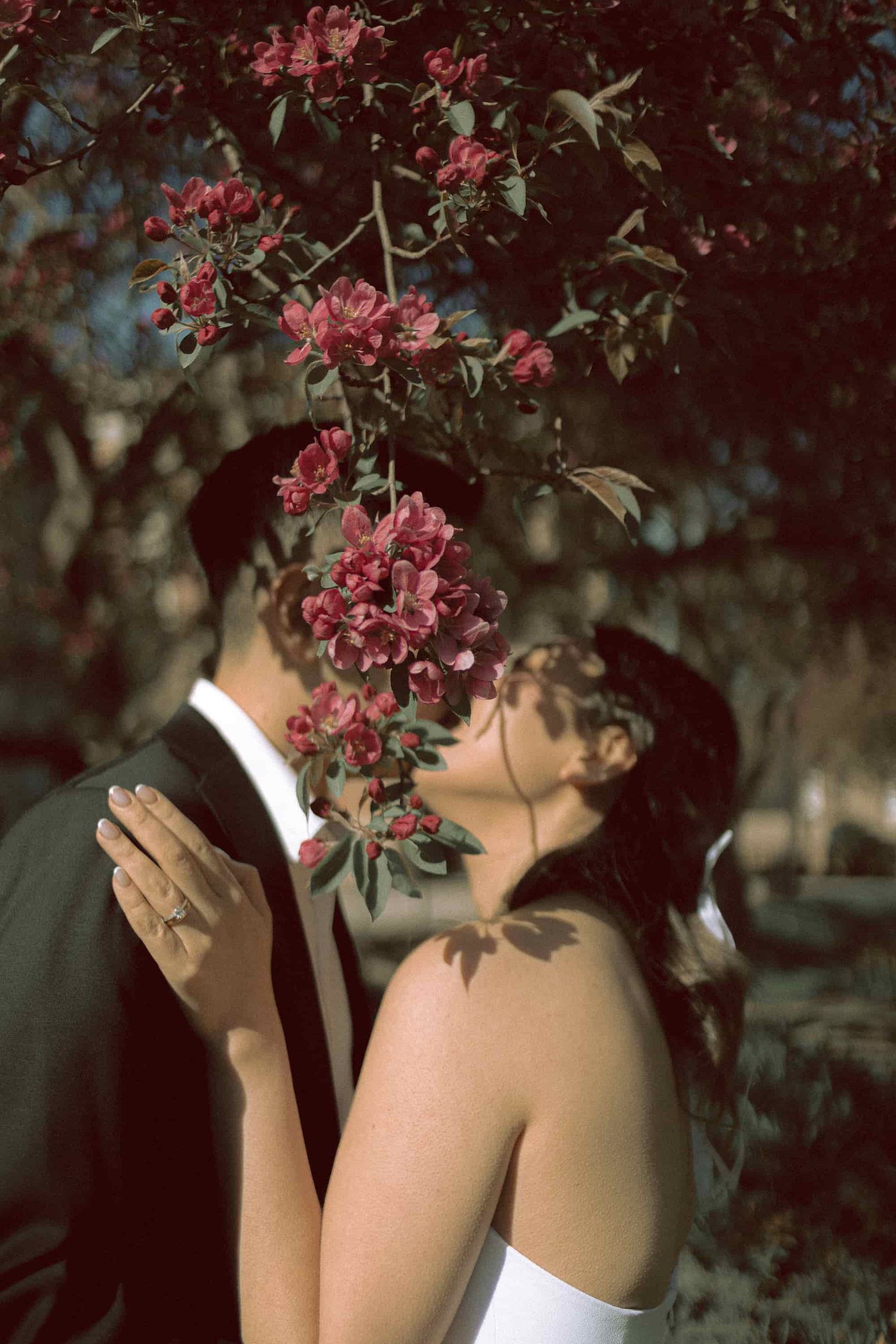 Couple kissing in front of Osgoode Hall Toronto with cherry blossom branch framing the portrait
