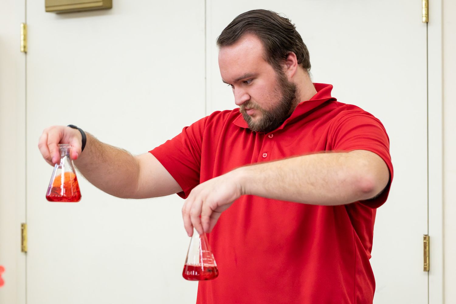 Man in red polo shirt carefully examines two Erlenmeyer flasks filled with red liquid during a chemistry demonstration.