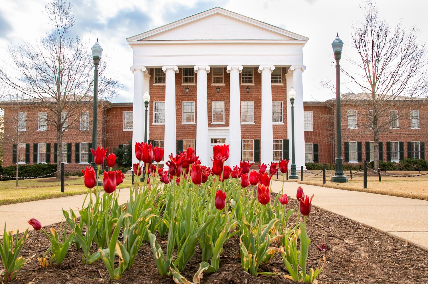 Red tulips bloom in front of a classic brick building with white columns on a college campus in spring.