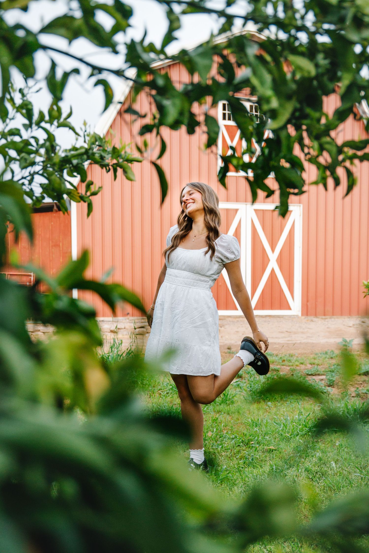 High school senior in a white dress walking through greenery near a red barn during a Des Moines Iowa summer senior portrait session.