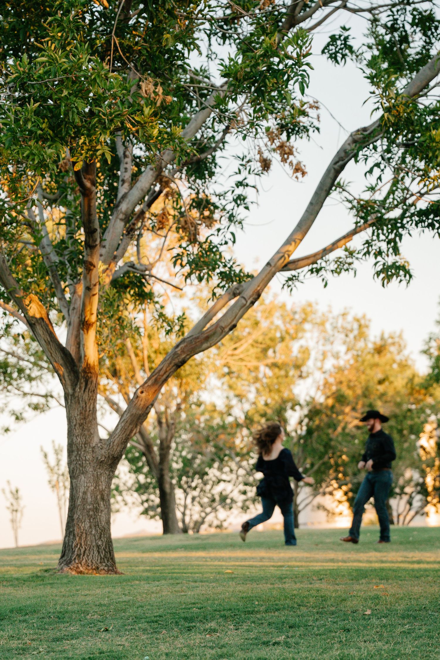 Engagement session of a couple running through a park framed by a big beautiful tree.