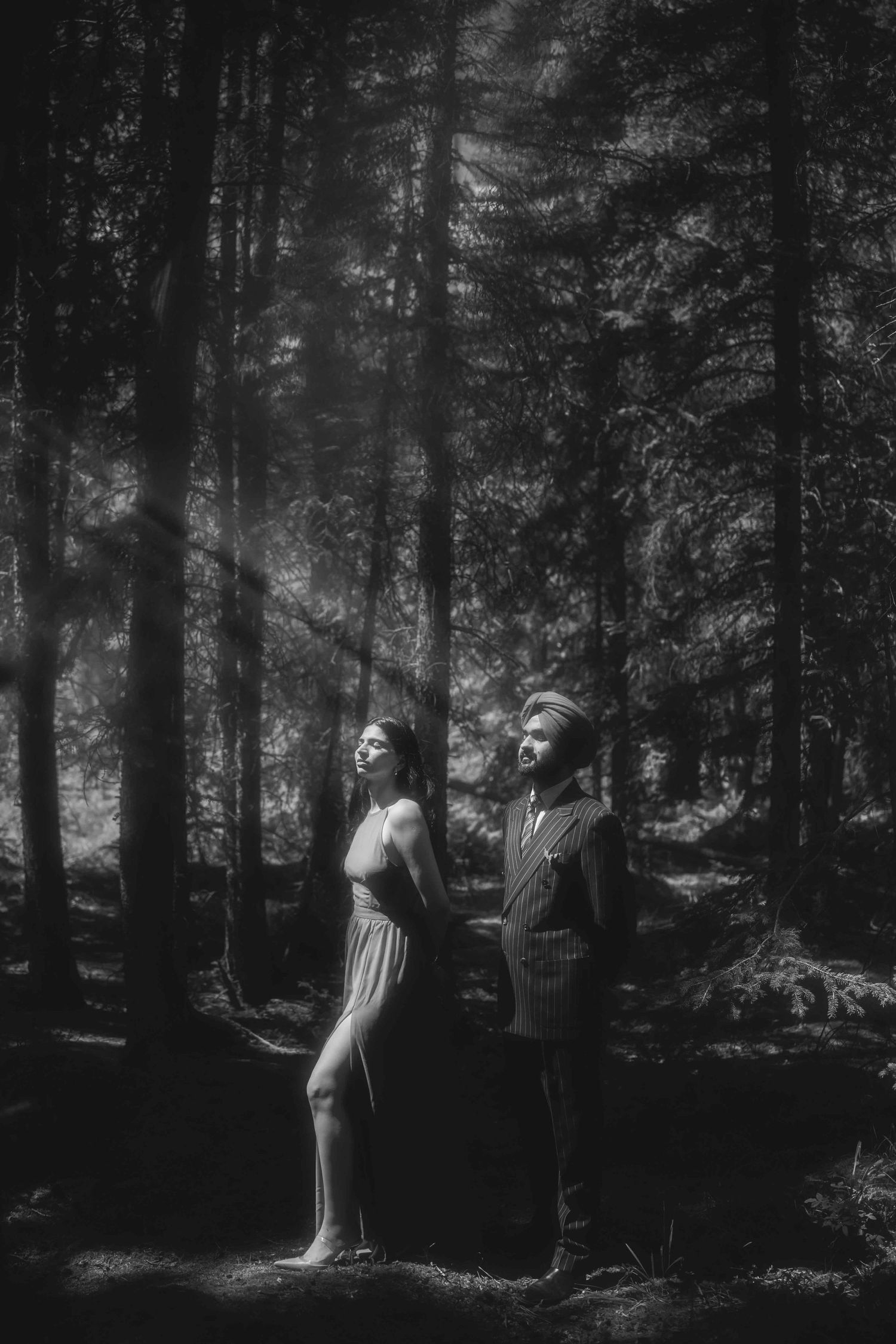 Artistic black and white forest photography with sunlight streaming through trees.
Banff photography