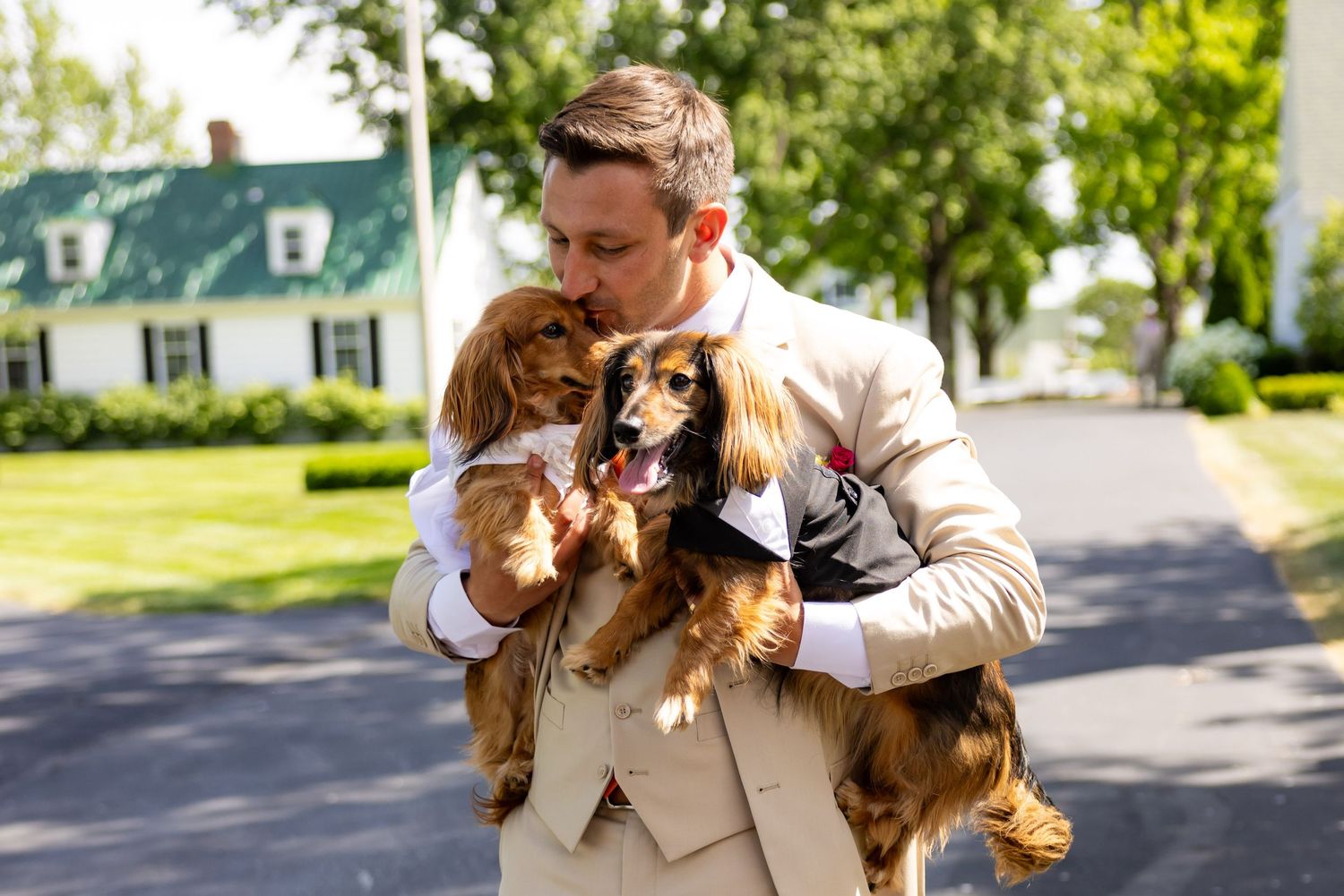 Groom in tan suit kisses two Cavalier King Charles Spaniels dressed in wedding attire outdoors.