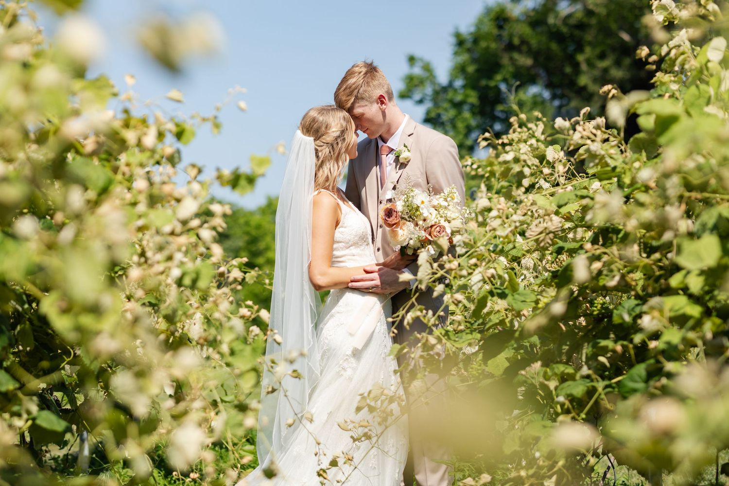 Bride and groom share a romantic kiss surrounded by lush green blooming bushes on their wedding day.