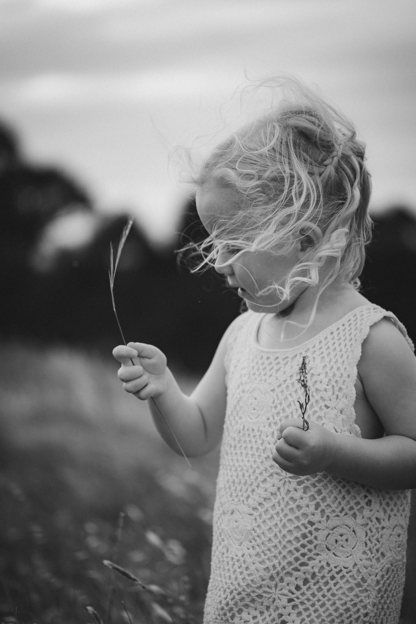 Black and white photograph of a small child in a white lace dress standing in a field holding small stems.