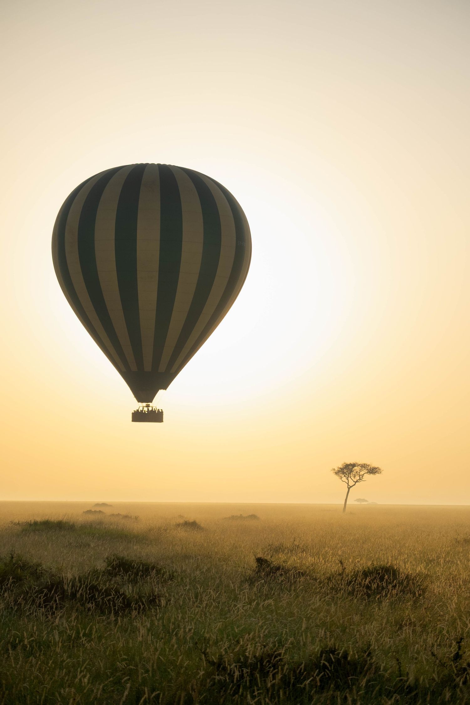 Hot air balloon silhouetted against golden sunrise over African savanna landscape.