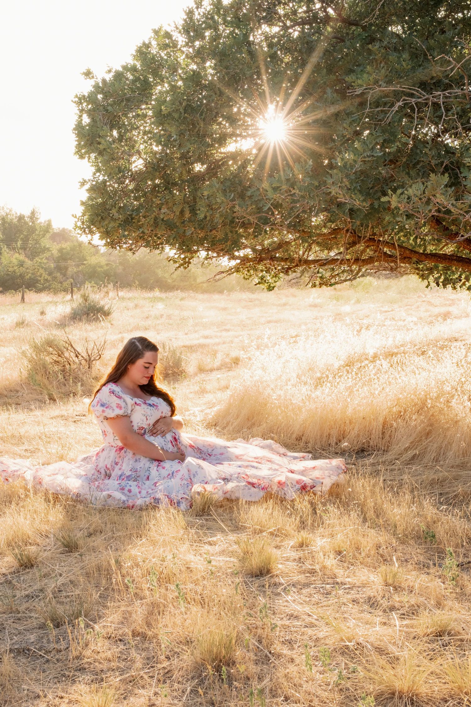 A dreamy golden hour portrait series showing someone reclining in a white lace dress among dry grass under sunlit oak trees.