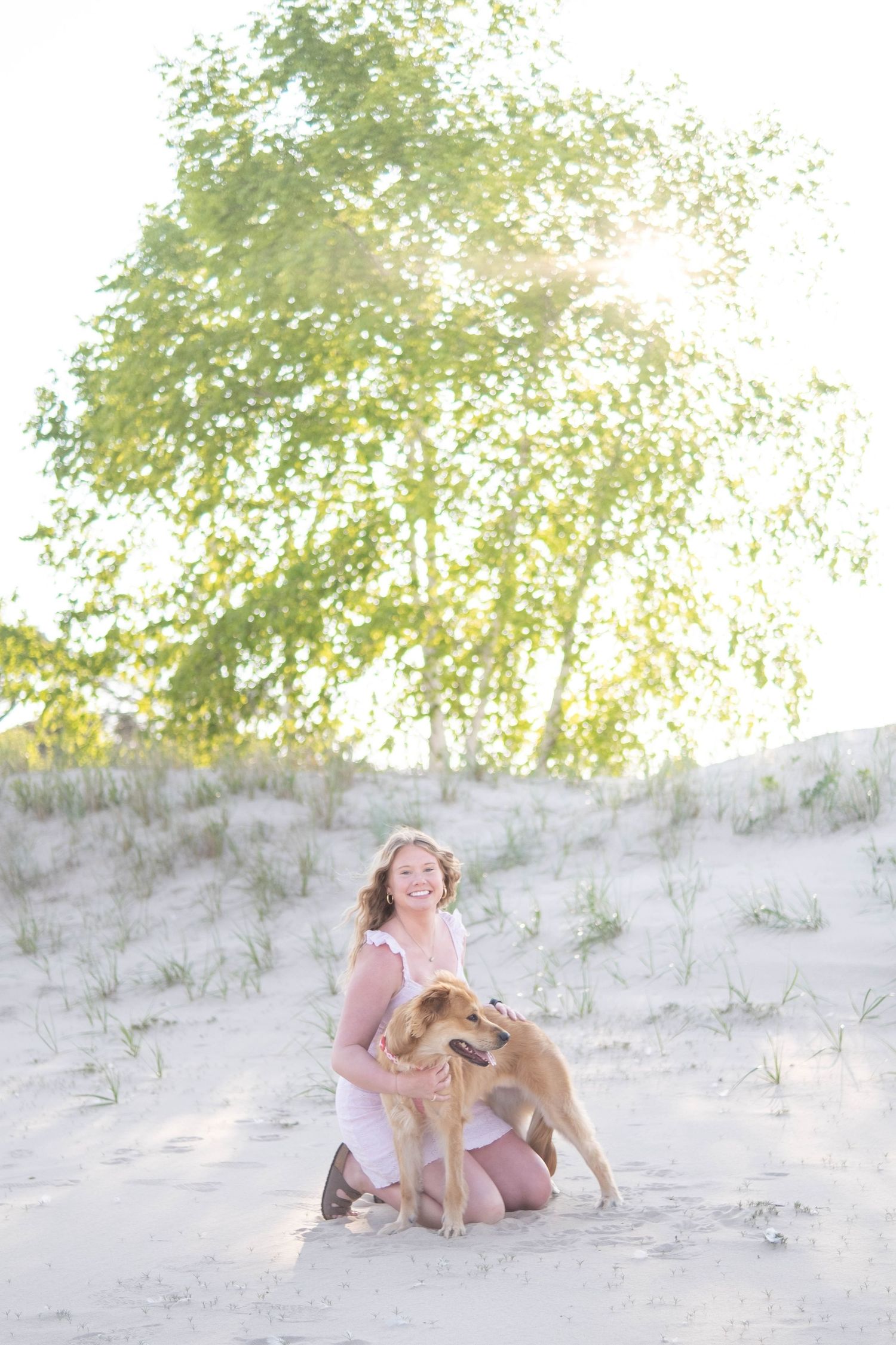 A person sits on sandy dunes with a golden-colored dog on a bright sunny day, with trees visible in the background.