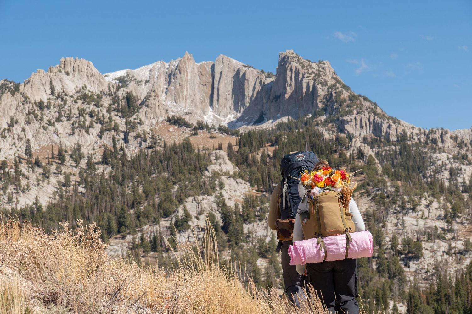 Majestic rocky mountain peaks rise against a clear blue sky in a scenic wilderness landscape.