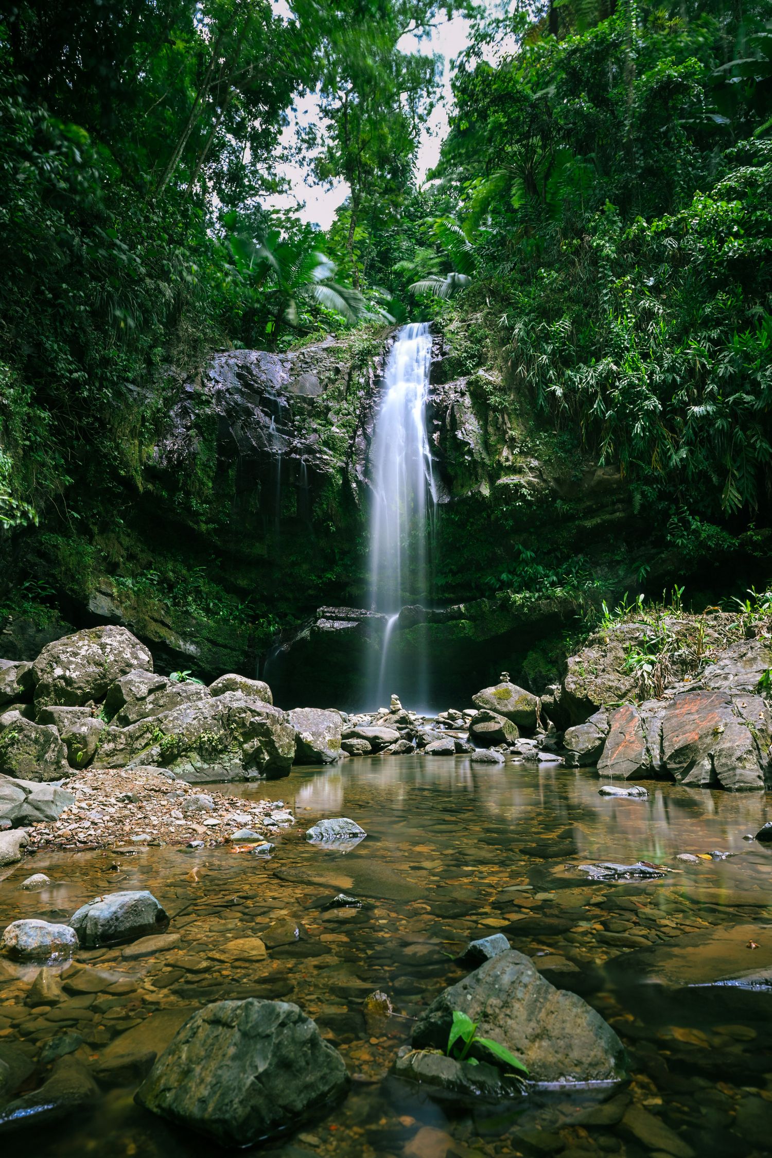 Serene tropical waterfall cascading into rocky pool surrounded by dense green jungle foliage.