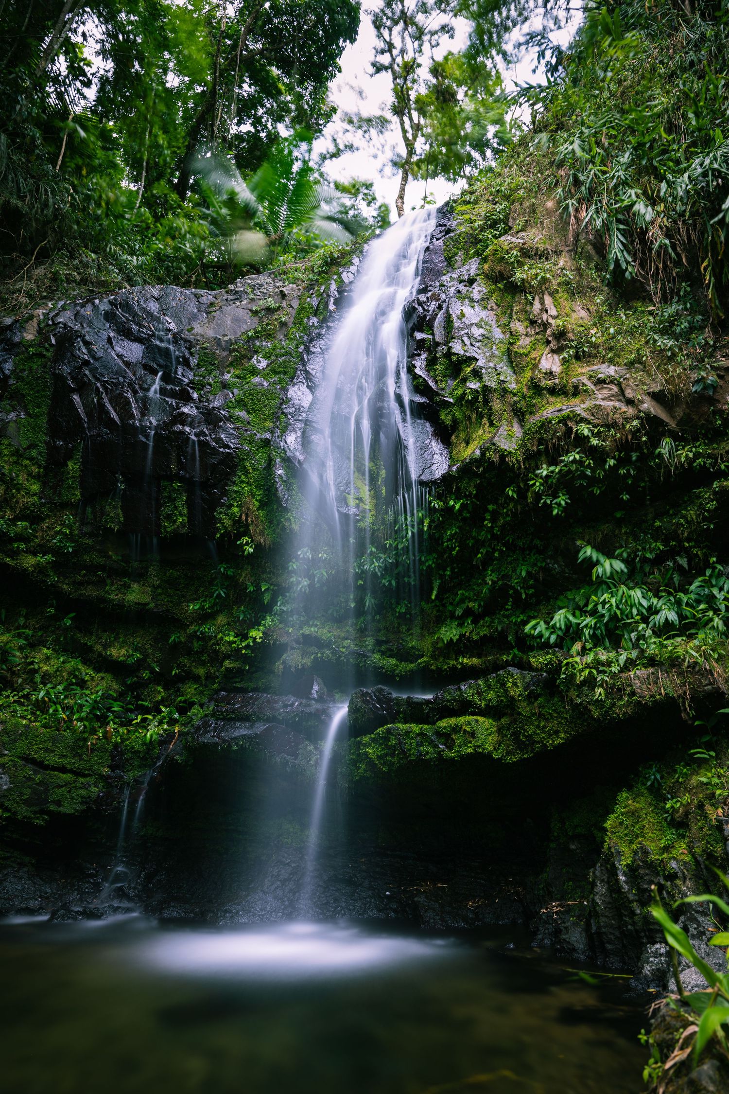 Tall waterfall flowing down mossy rocks into calm pool in lush tropical rainforest setting.