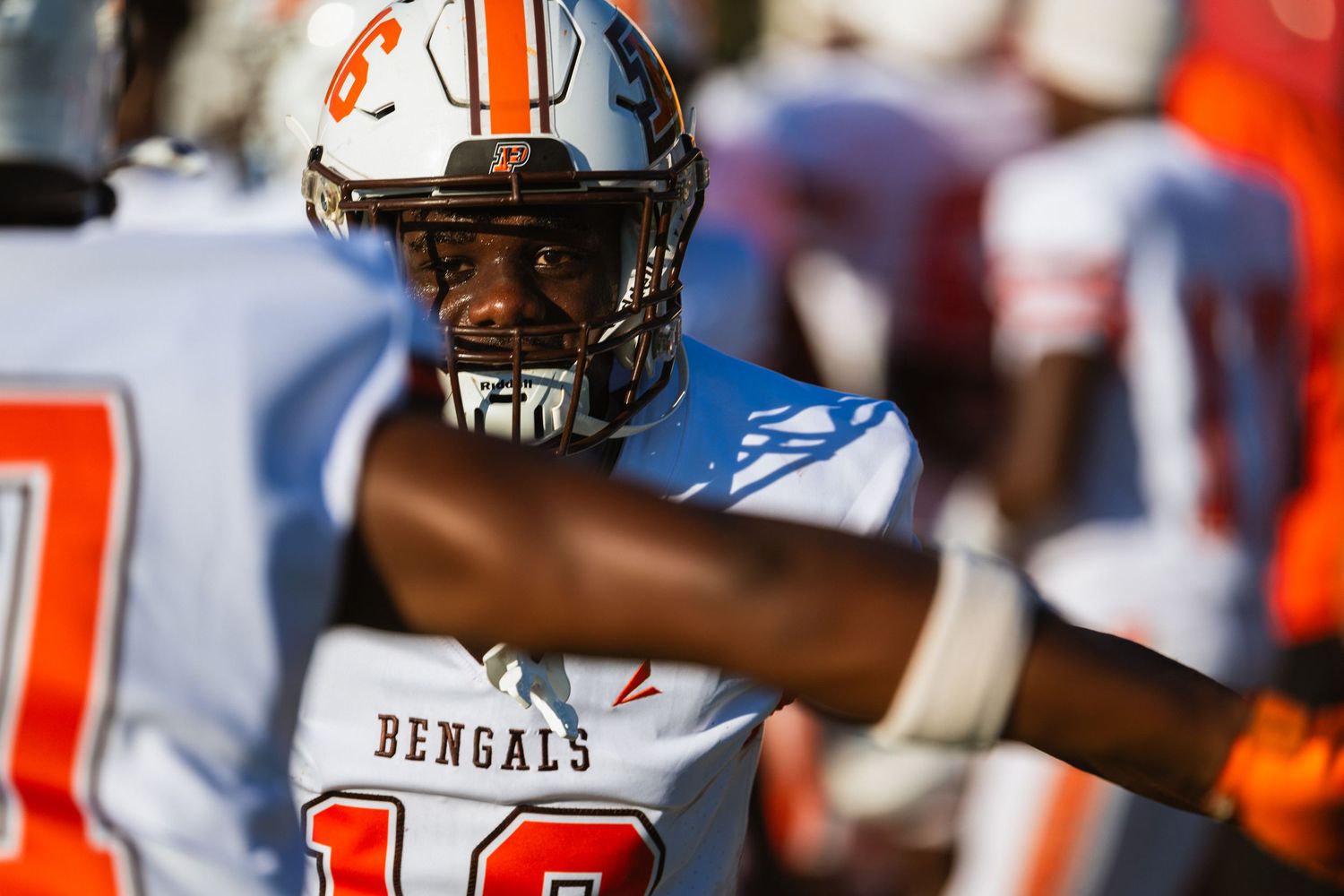 Football player wearing white Bengals jersey number 6 on a sunny game day sideline.
