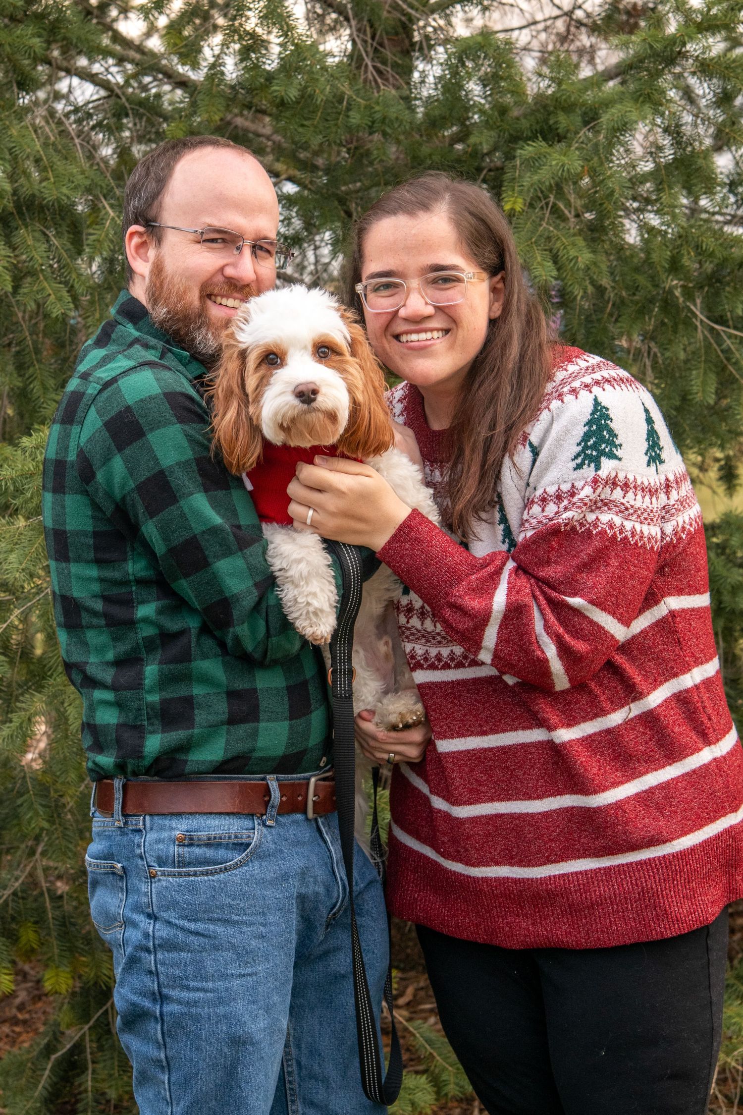 A smiling couple in holiday sweaters holds a cute Cavalier King Charles Spaniel dog outdoors near evergreen trees.