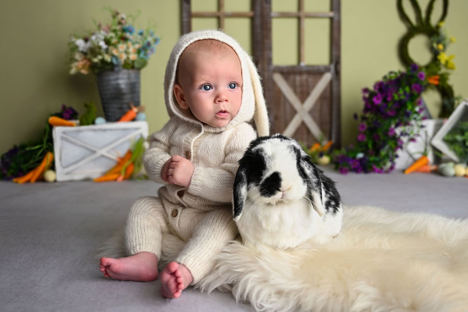 Real life bunny Easter Mini Session photos with Holland Lop and baby sitter session in bunny costume Arizona Ahwatukee Phoenix AZ