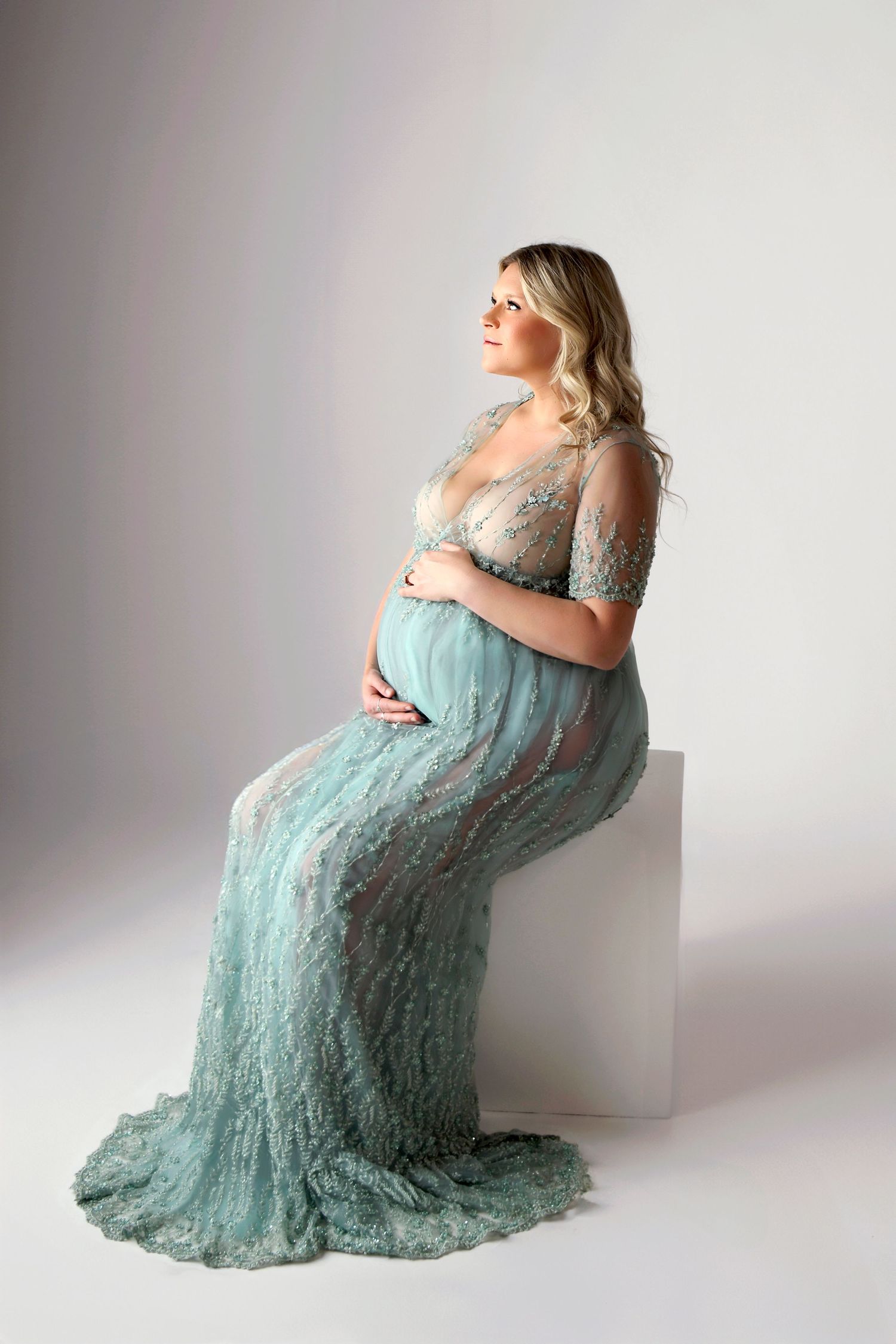 Elegant maternity portrait with a soft, blurred background.