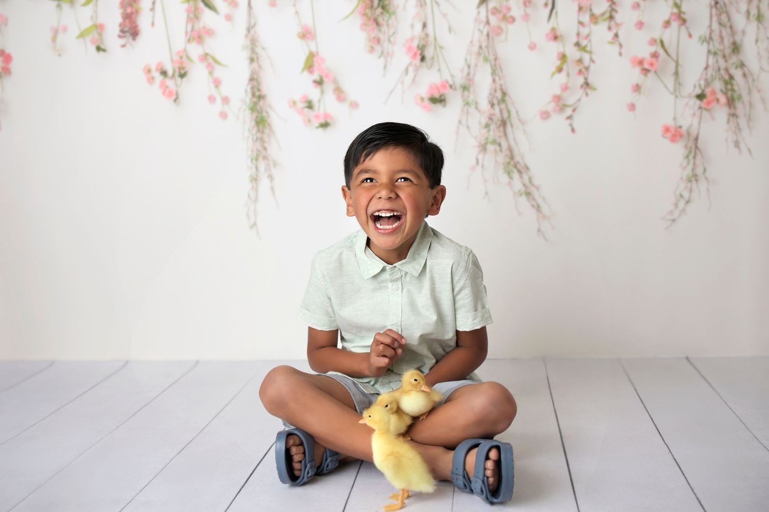 Easter Mini Session picture of young boy holding ducklings on his lap in Arizona Studio