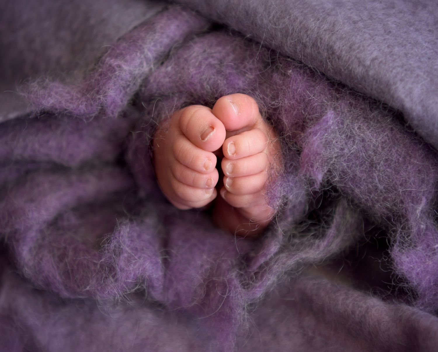Newborn baby toes surrounded by purple fluff in Scottsdale Arizona