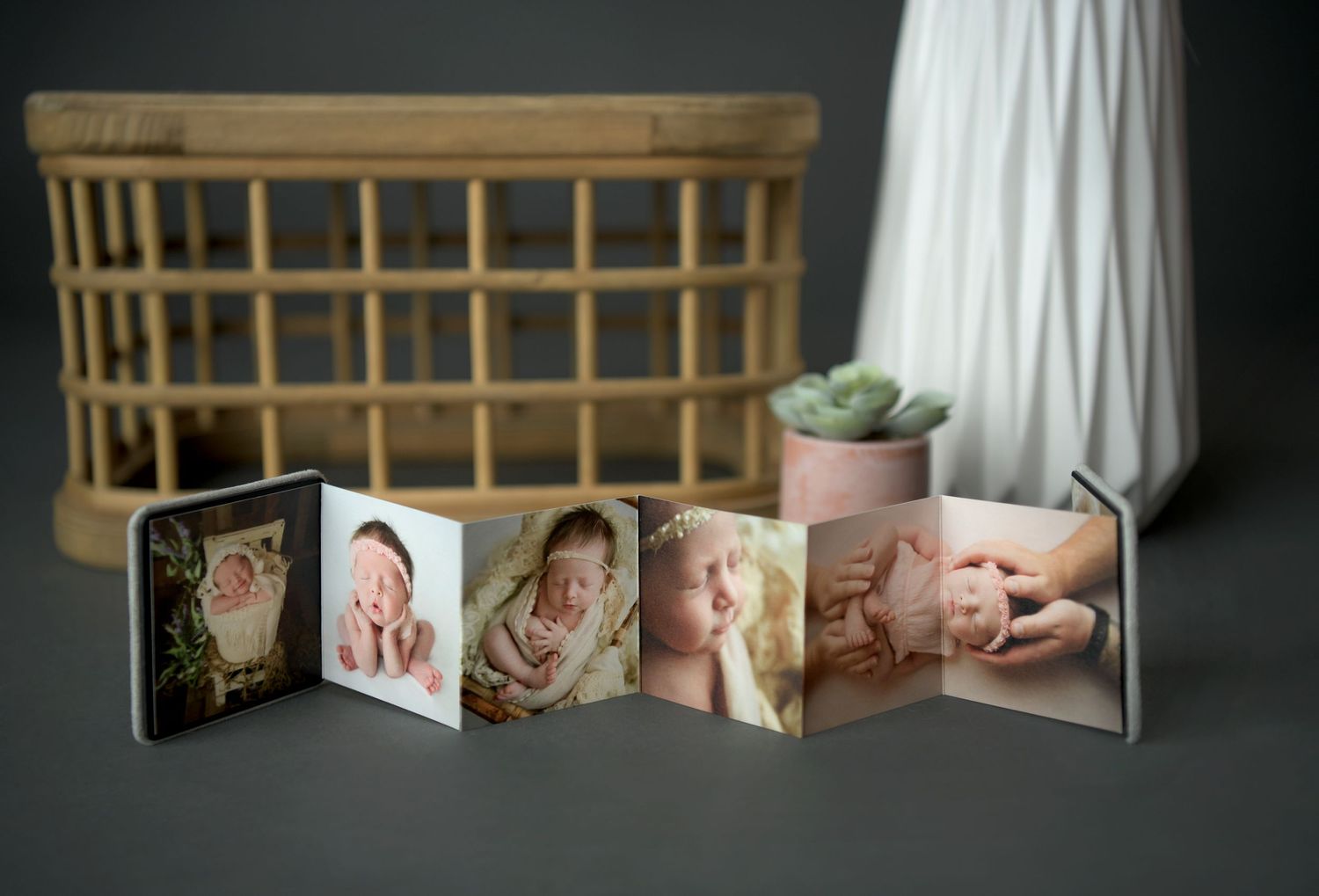 A Mini Accordion Book from Olivia Grace Photography in Arizona