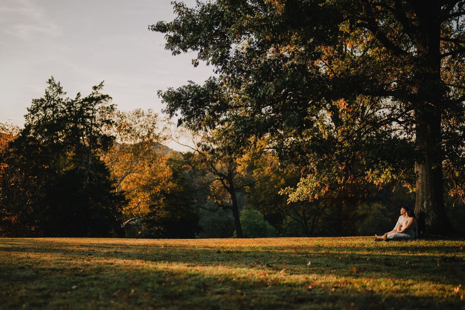 A golden sunset illuminates a peaceful autumn landscape with trees. Nashville, Tennessee.
