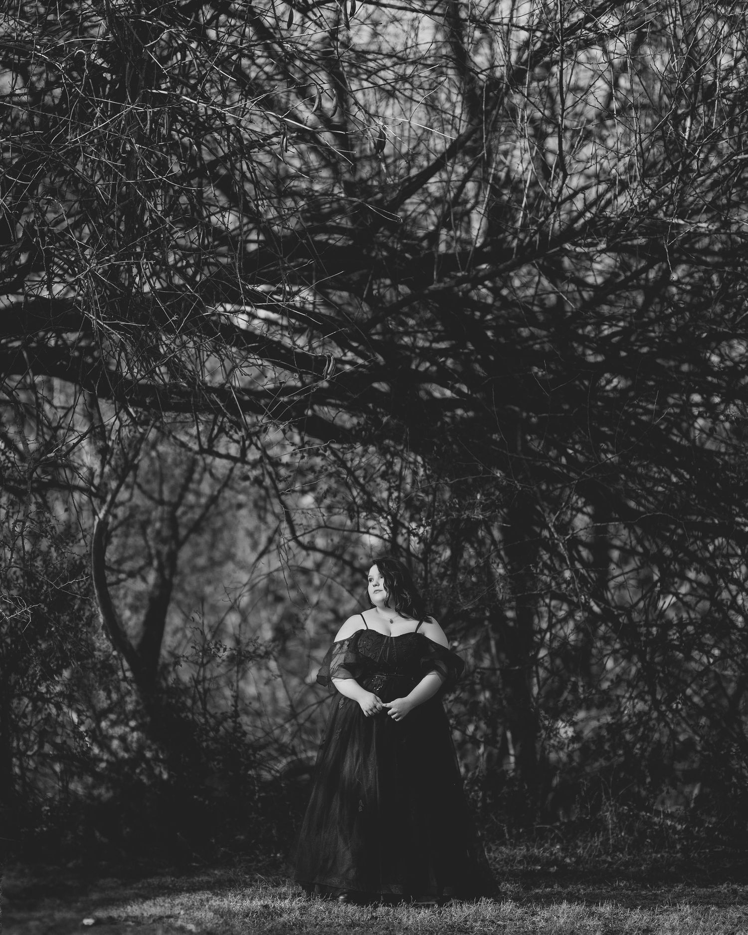 Dramatic black and white portrait in long dress beneath twisted tree branches. Nashville, Tennessee.