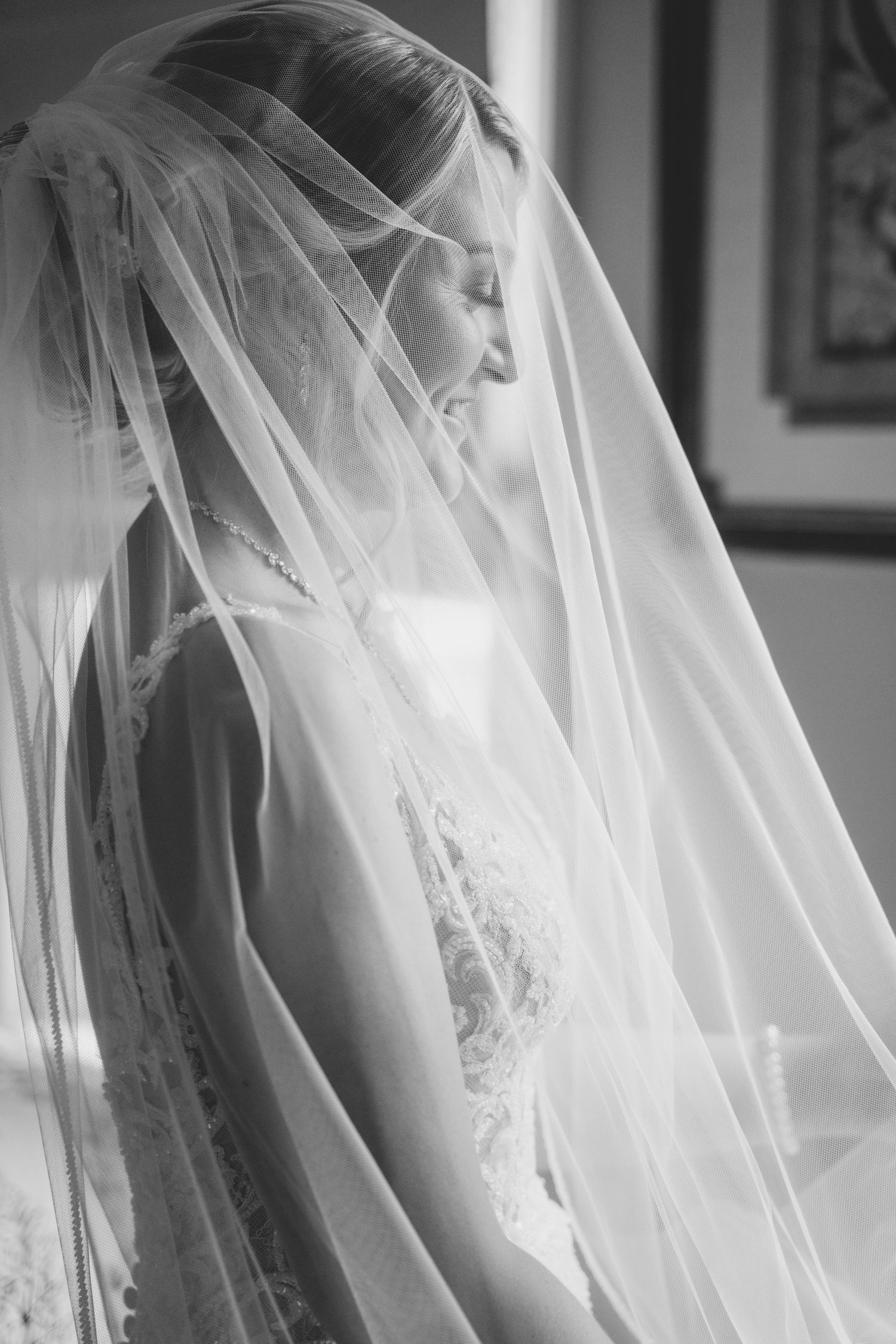 Ethereal black and white portrait of bride wearing delicate veil. Sylvan side farm Virginia, Virginia.
