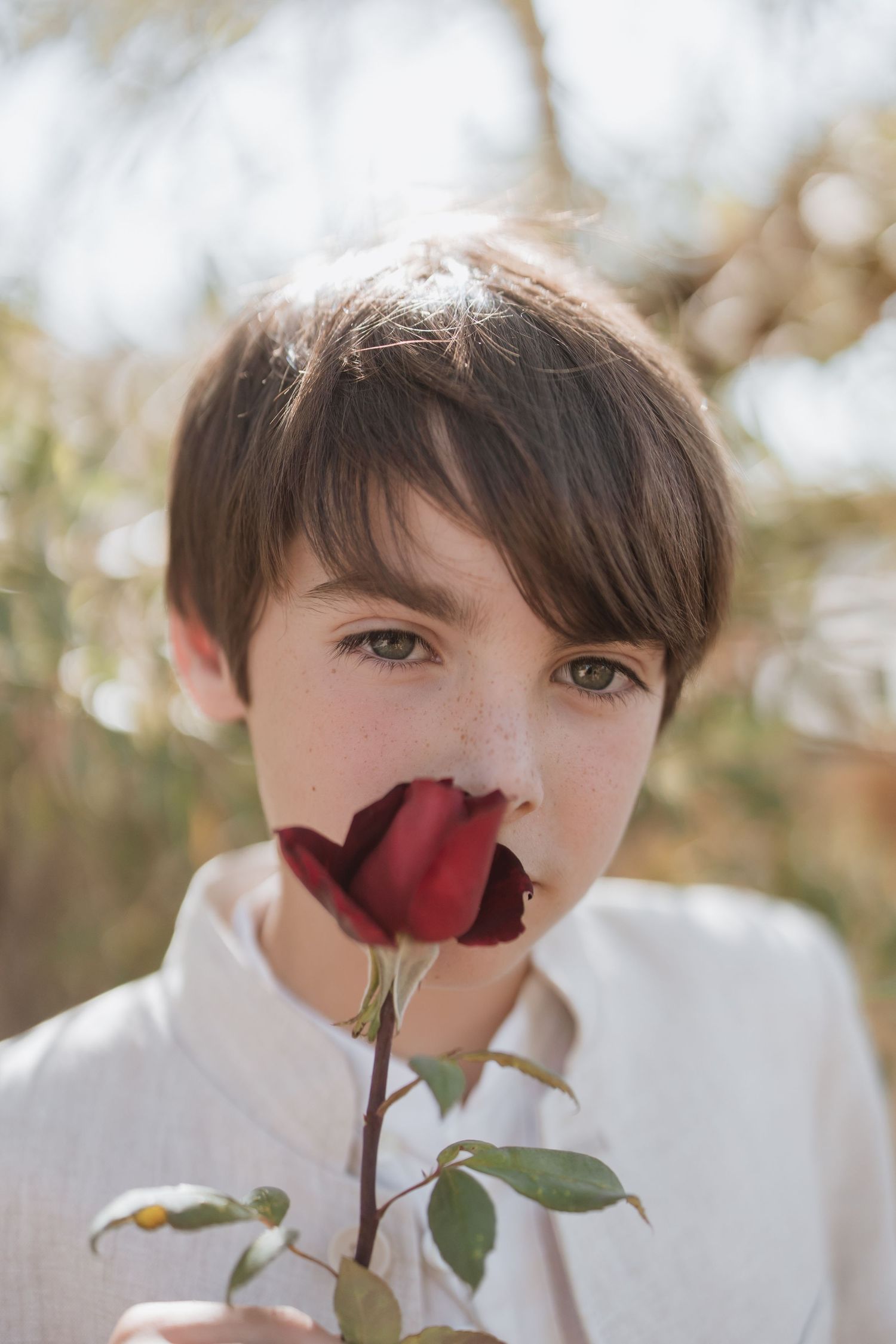 A close up portrait of someone in a white shirt holding a deep red rose in front of their face.