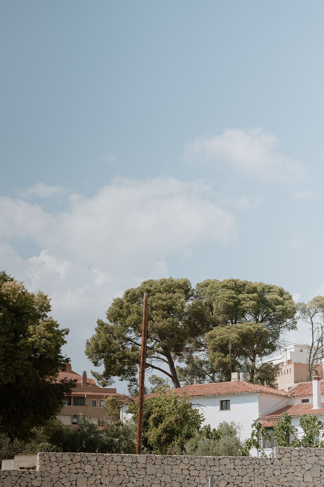 Mediterranean landscape with pine trees and white houses against a blue summer sky.