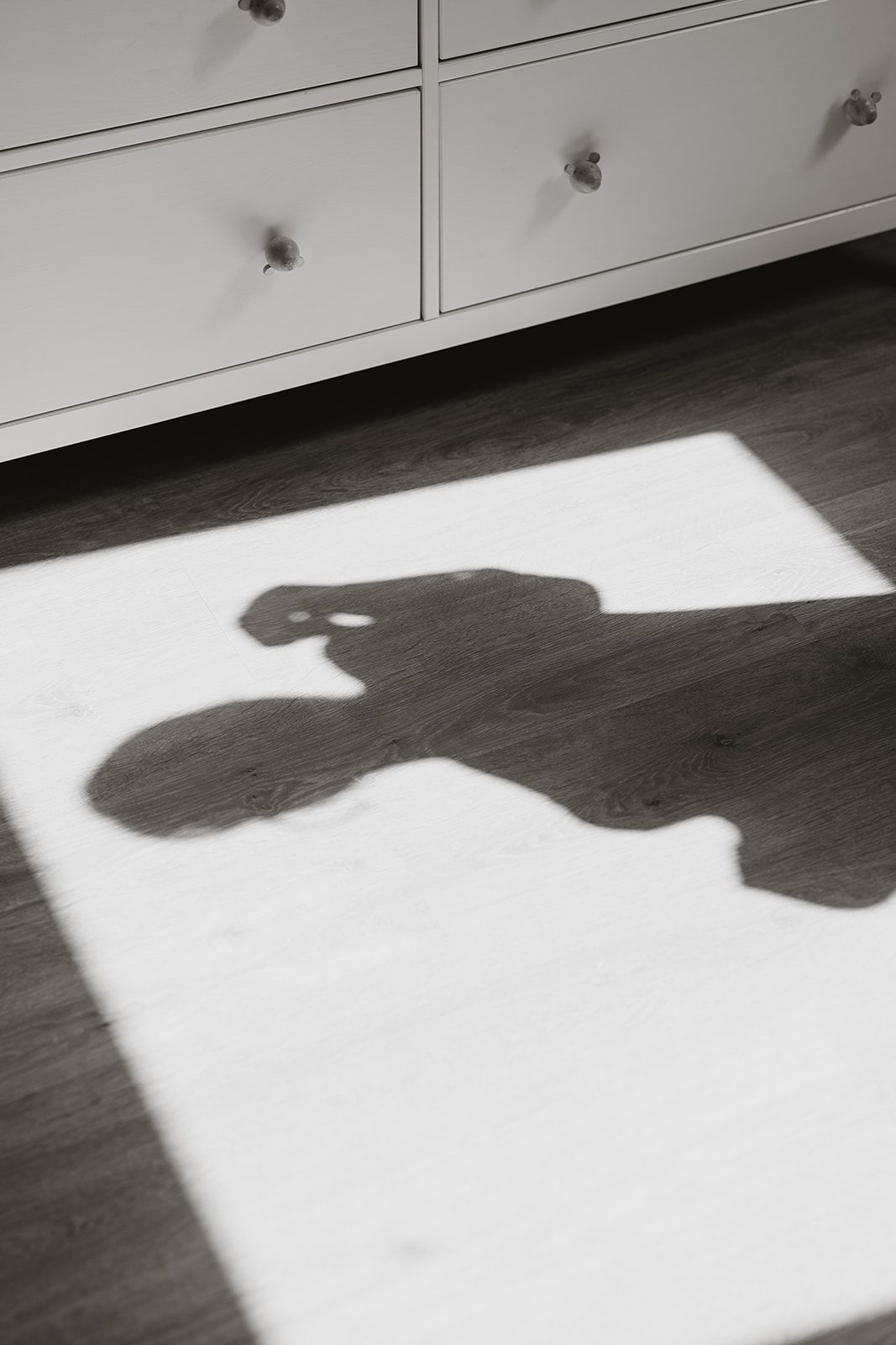 Black and white artistic shadow cast on a light wooden floor beneath white furniture.