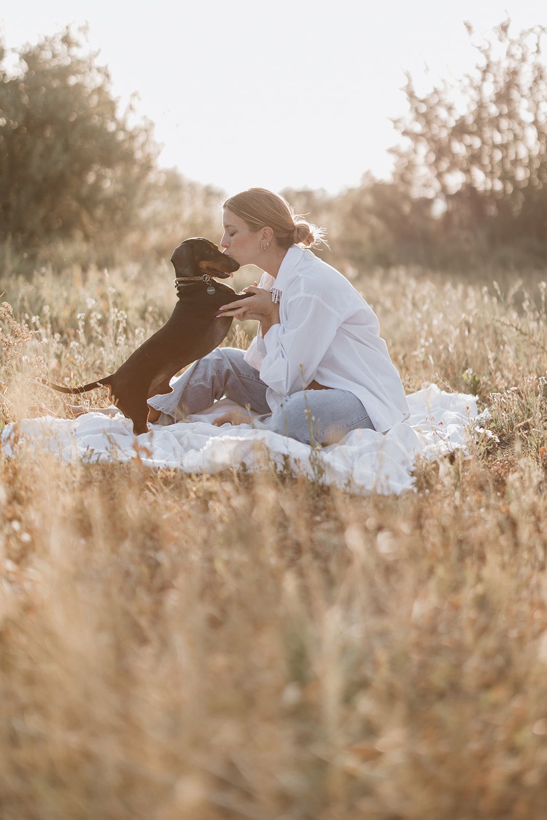 A person in white sits on a blanket in a golden field playing with a small brown dog.