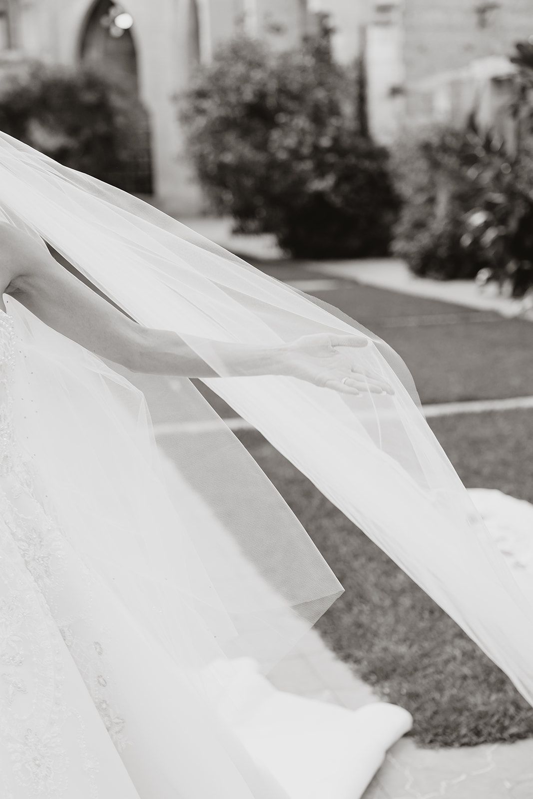 Flowing white wedding veil trailing gracefully across a garden path.