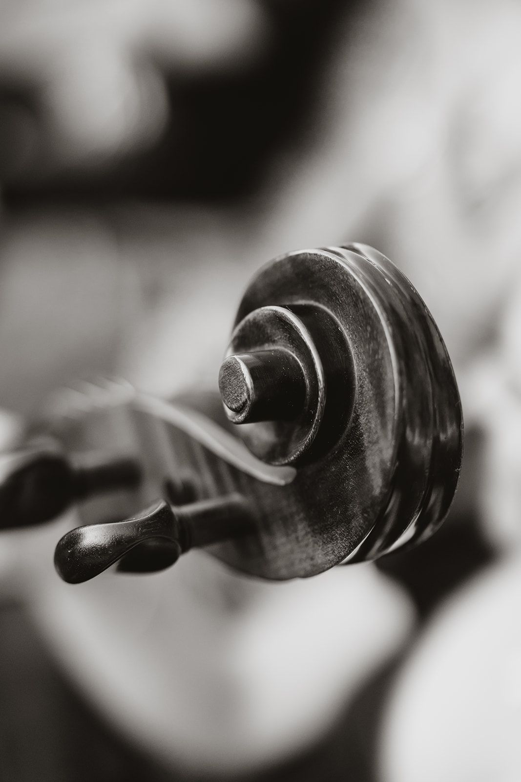 Black and white detail shot of an antique violin scroll with elegant curves and shadows.