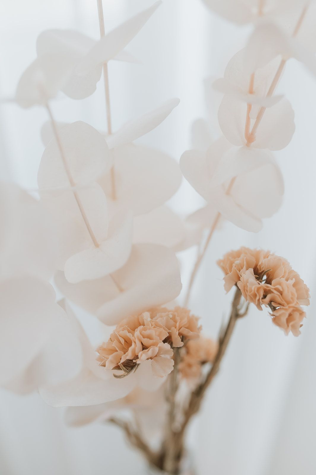 Soft focus image of peach carnations with white paper butterflies in dreamy lighting.