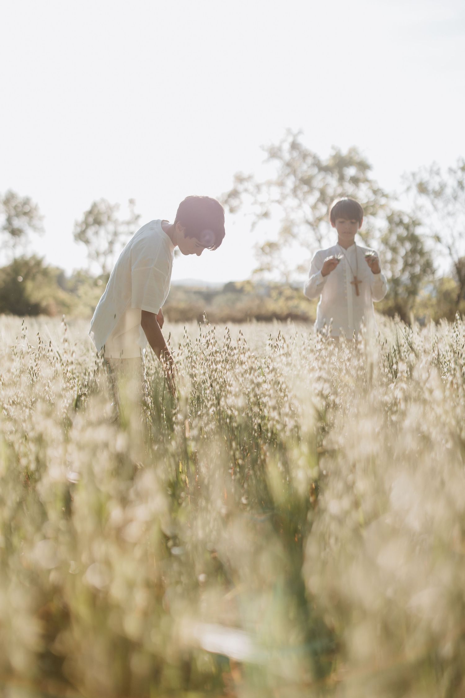 A dreamy scene of people gathering flowers in a sunlit wildflower meadow on a summer afternoon.