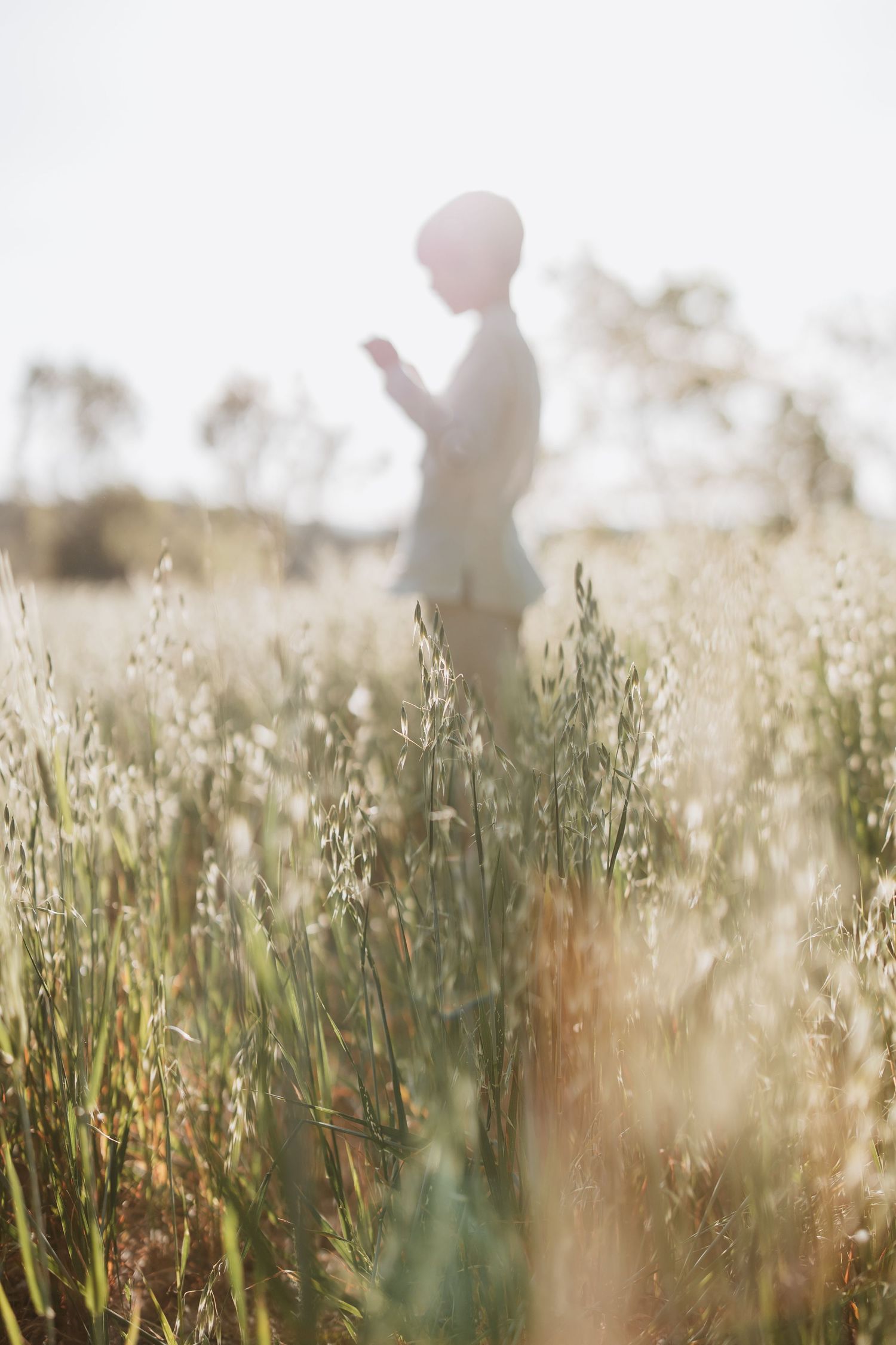 Silhouettes of figures stand among tall grass and wildflowers in a dreamy, backlit meadow at golden hour.
