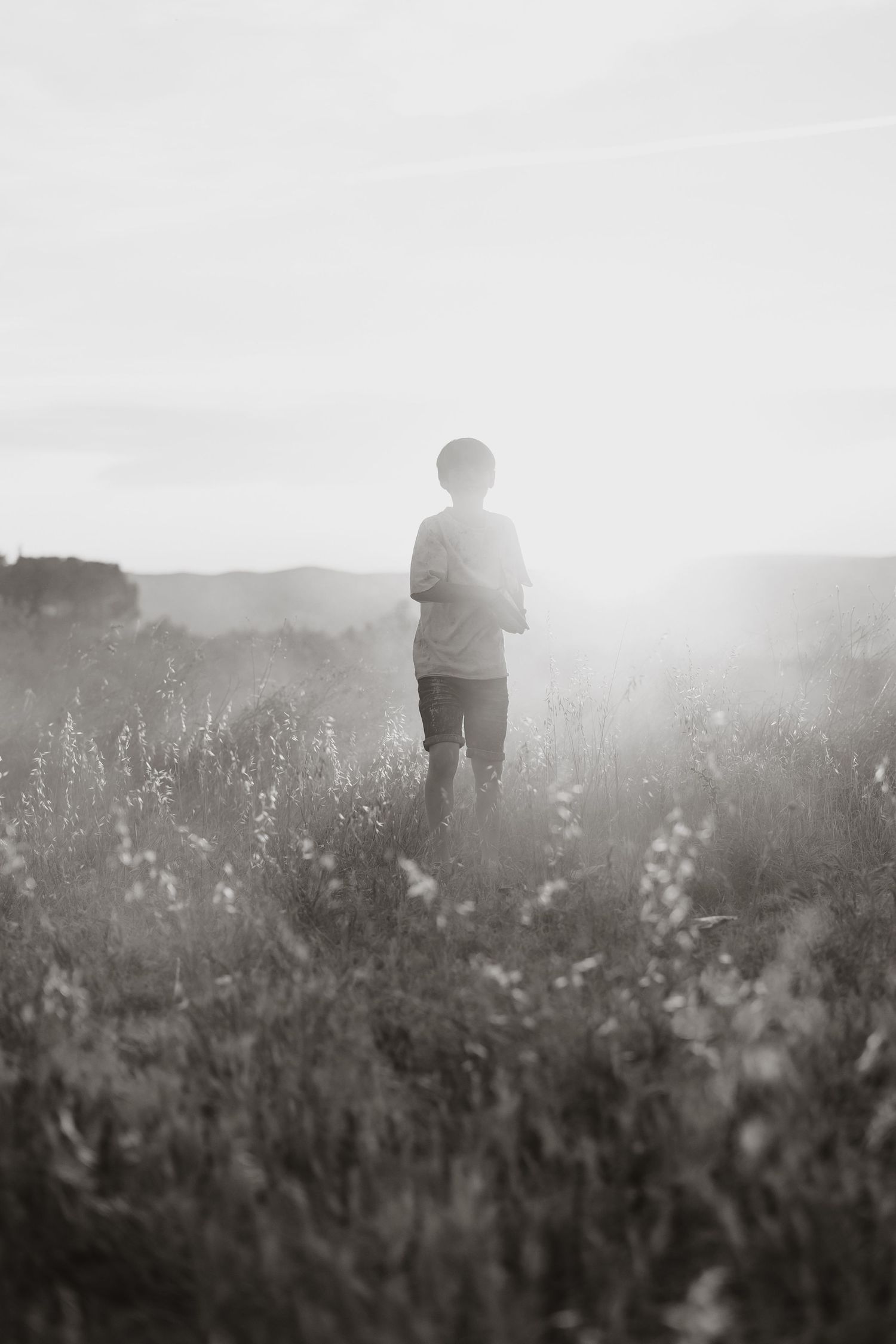 Black and white silhouette of a person standing in a misty meadow at sunset surrounded by wildflowers and tall grass.