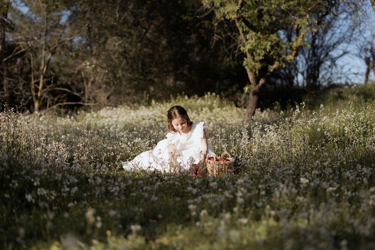 Girl in white dress sitting in a sunlit field of white wildflowers near trees on a warm sunny day.