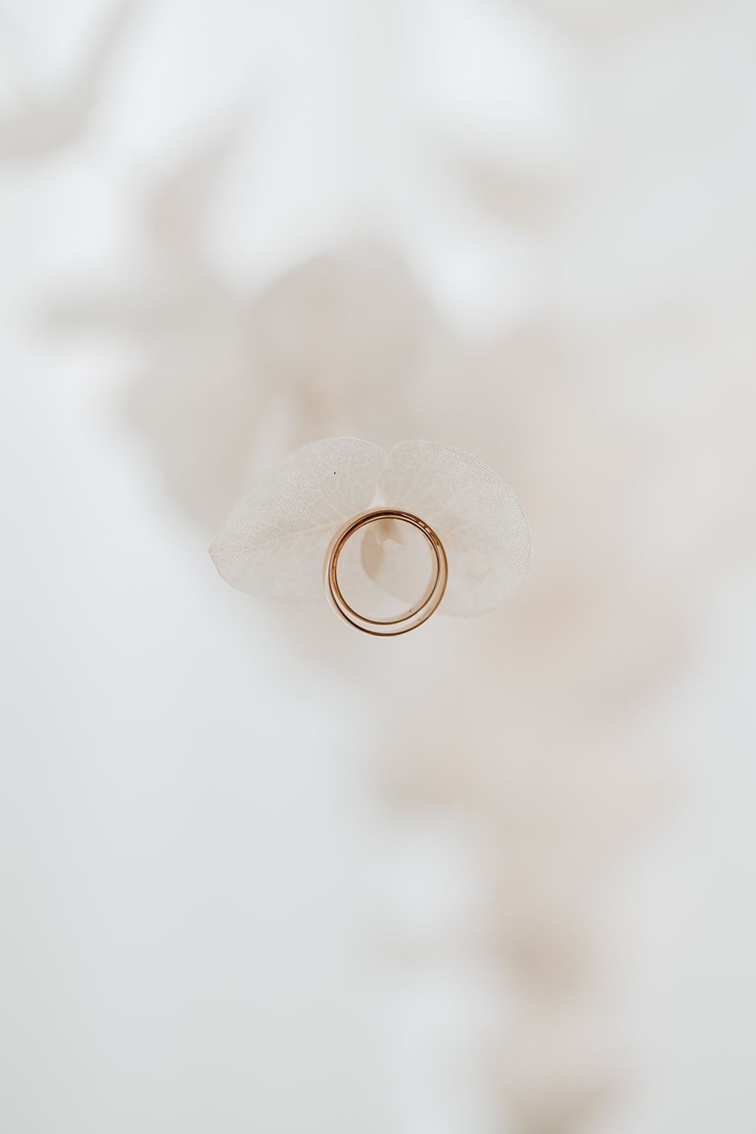 A gold wedding band photographed on a soft white background.