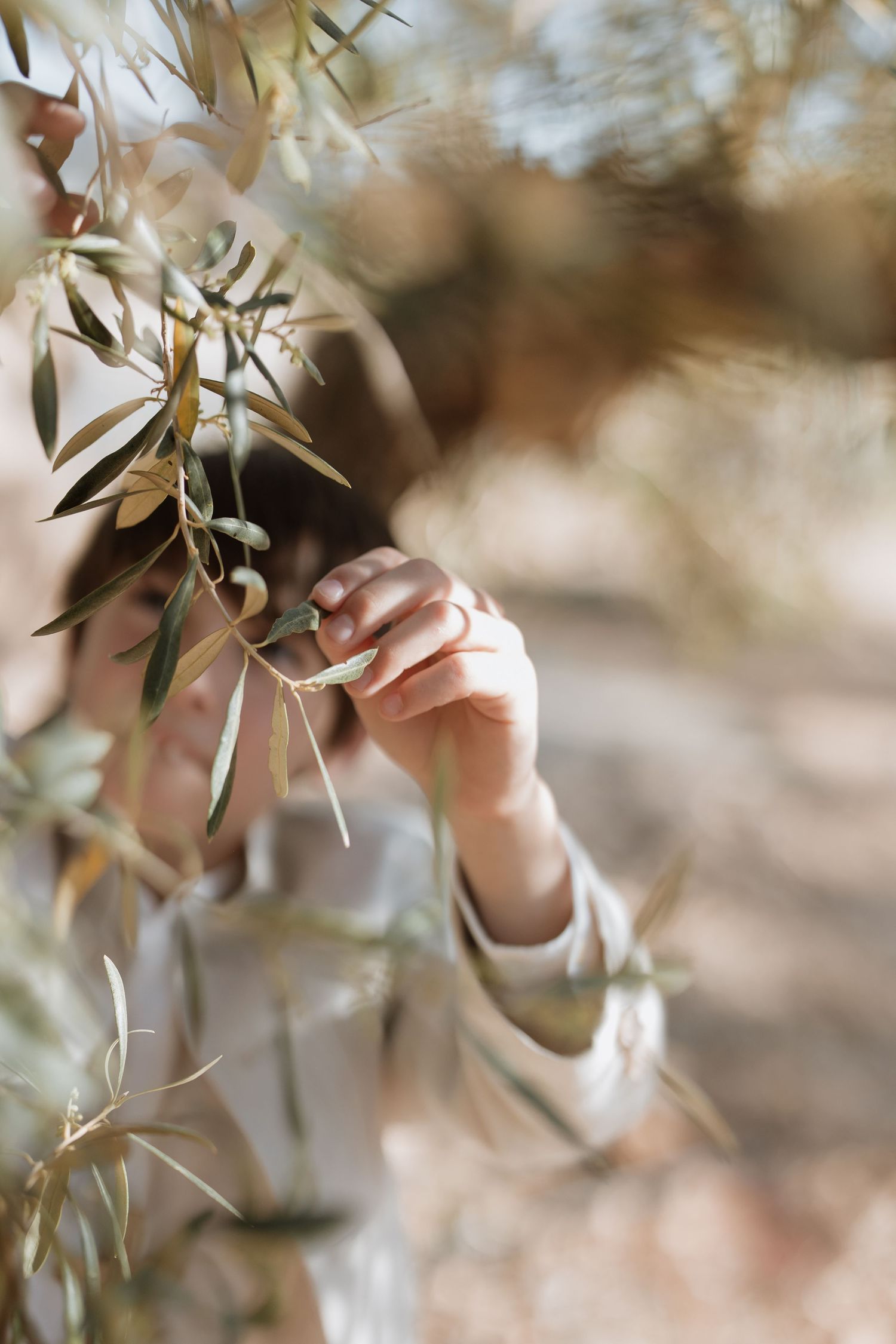 A hand gently touches olive tree branches with soft sunlight creating a dreamy atmosphere in the garden.